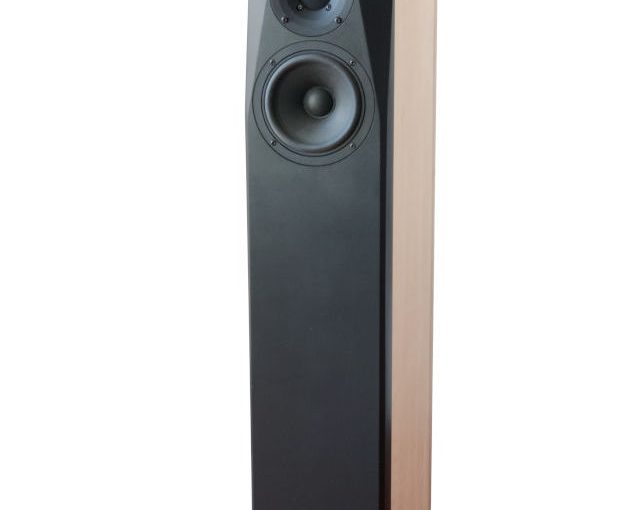 DXT-MON-STAND Slim floor-standing speaker with Seas DXT 27TBCD / GB and Wavecor WF152BD06